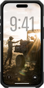 133.webp