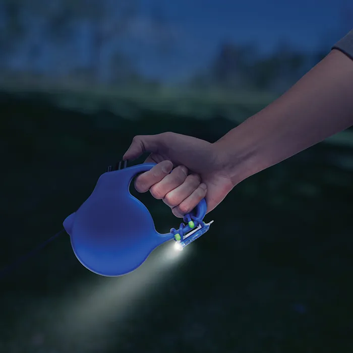 A2.webp
