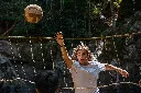 d4.webp