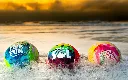 imgi_8_default.webp