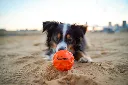 imgi_5_default.webp