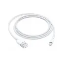 Apple USB to Lightning Cable 1M